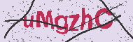 Codice captcha