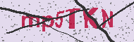 Codice captcha